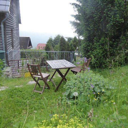 Haus Bergwiese - Fuer Naturfreunde, Familien, Wanderer Gehlberg ภายนอก รูปภาพ