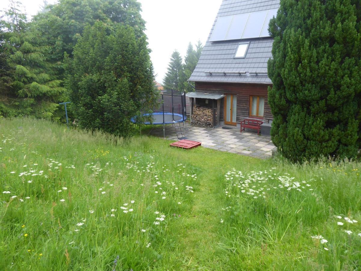 Haus Bergwiese - Fuer Naturfreunde, Familien, Wanderer Gehlberg ภายนอก รูปภาพ